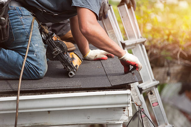 Best Roof Gutter Cleaning  in Forsyth, GA